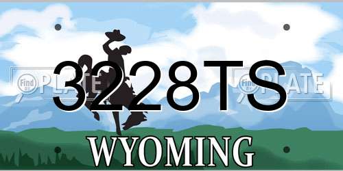 3228TS Wyoming License Plate