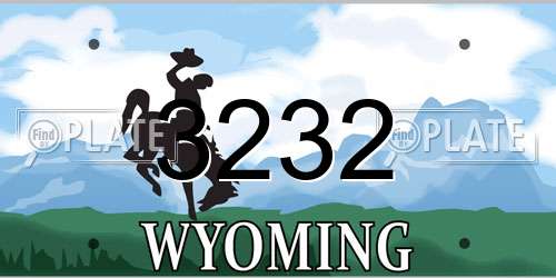 3232 Wyoming License Plate