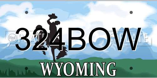 324BOW Wyoming License Plate