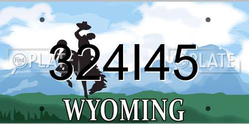 324I45 Wyoming License Plate