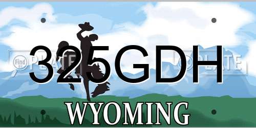 325GDH Wyoming License Plate