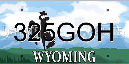 325GOH Wyoming License Plate