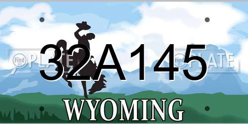 32A145 Wyoming License Plate