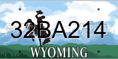 32BA214 Wyoming License Plate