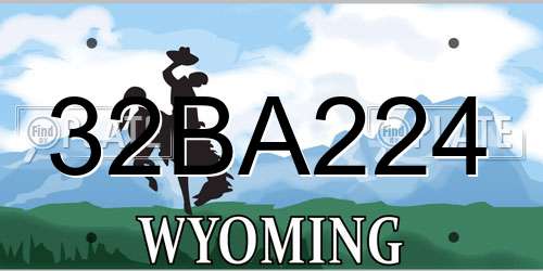 32BA224 Wyoming License Plate