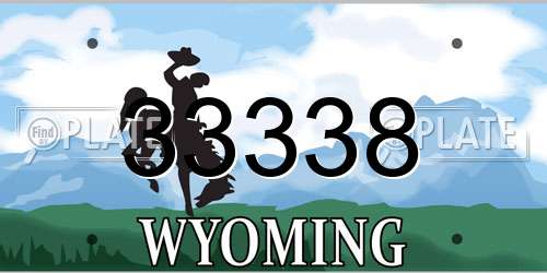 33338 Wyoming License Plate