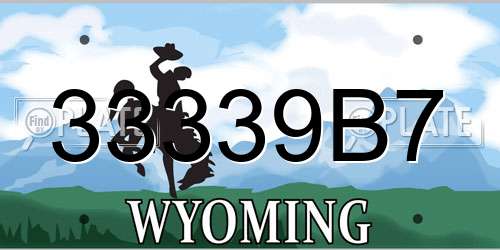 33339B7 Wyoming License Plate