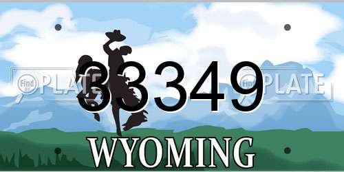 33349 Wyoming License Plate