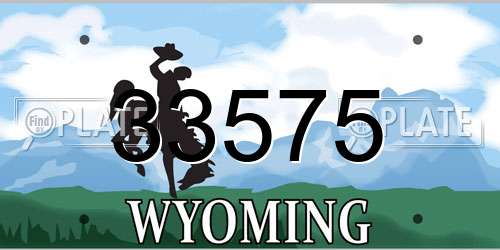 33575 Wyoming License Plate
