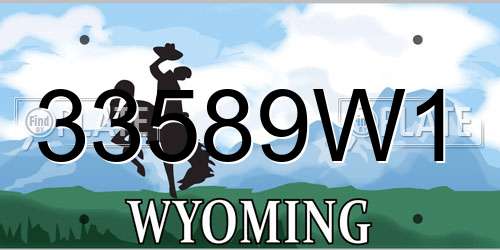 33589W1 Wyoming License Plate