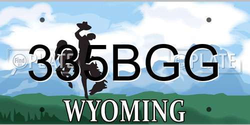 335BGG Wyoming License Plate