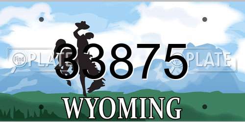 33875 Wyoming License Plate