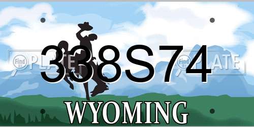 338S74 Wyoming License Plate