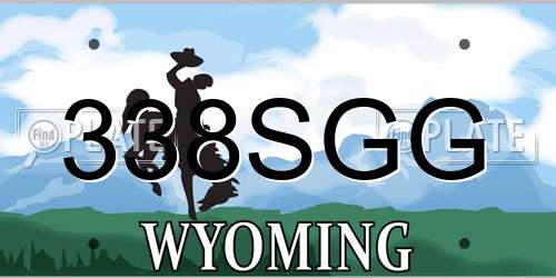 338SGG Wyoming License Plate
