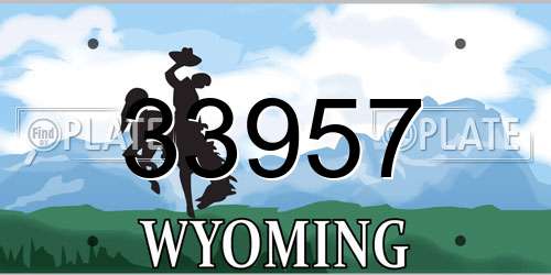 33957 Wyoming License Plate