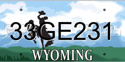 33GE231 Wyoming License Plate