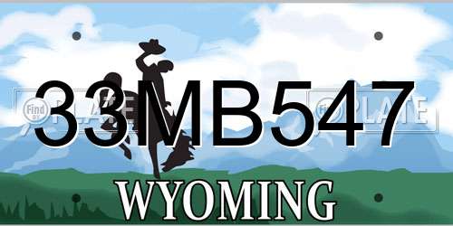 33MB547 Wyoming License Plate
