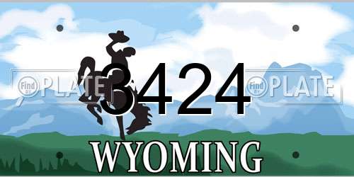 3424 Wyoming License Plate