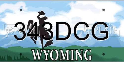 343DCG Wyoming License Plate