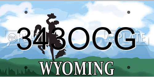 343OCG Wyoming License Plate