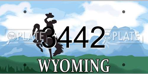 3442 Wyoming License Plate