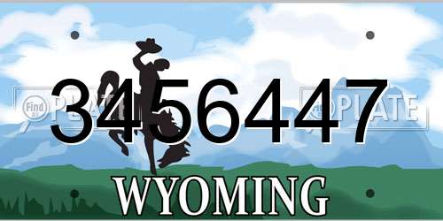 3456447 Wyoming License Plate