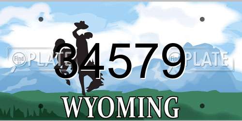 34579 Wyoming License Plate