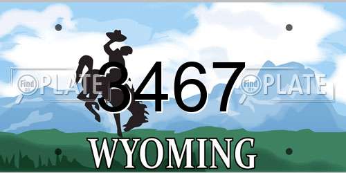 3467 Wyoming License Plate