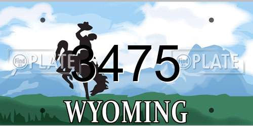3475 Wyoming License Plate