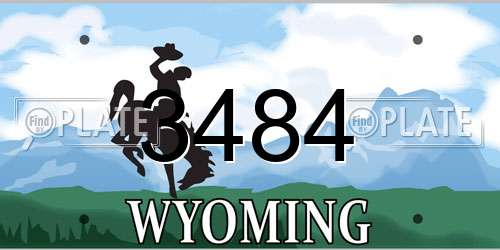 3484 Wyoming License Plate