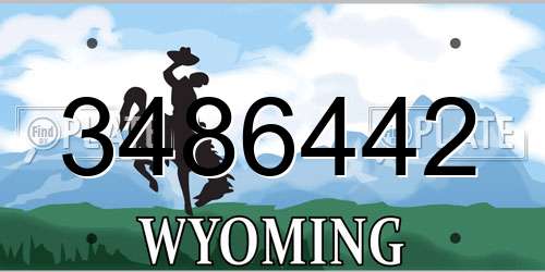 3486442 Wyoming License Plate