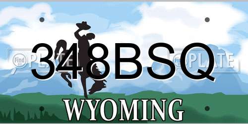 348BSQ Wyoming License Plate