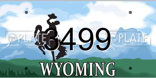 3499 Wyoming License Plate