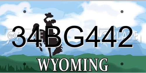 34BG442 Wyoming License Plate
