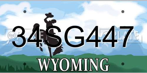 34SG447 Wyoming License Plate