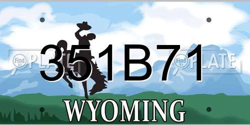 351B71 Wyoming License Plate
