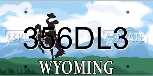 356DL3 Wyoming License Plate