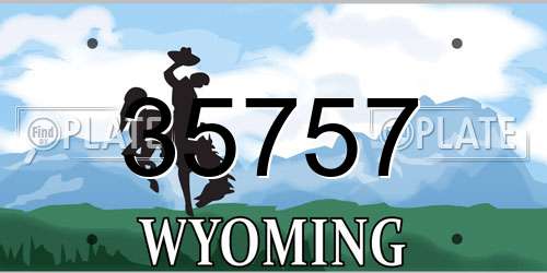 35757 Wyoming License Plate