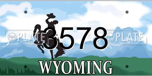 3578 Wyoming License Plate