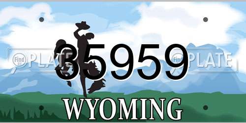 35959 Wyoming License Plate