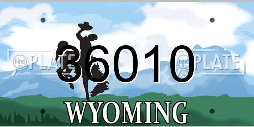 36010 Wyoming License Plate