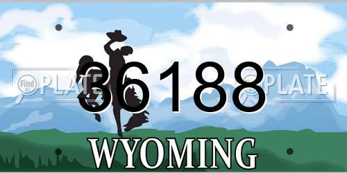 36188 Wyoming License Plate