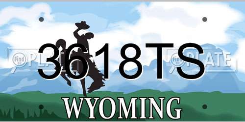 3618TS Wyoming License Plate