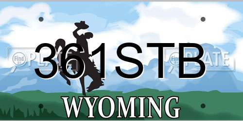 361STB Wyoming License Plate