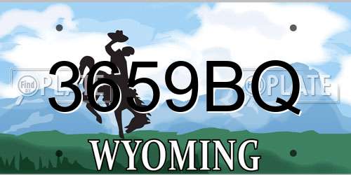 3659BQ Wyoming License Plate