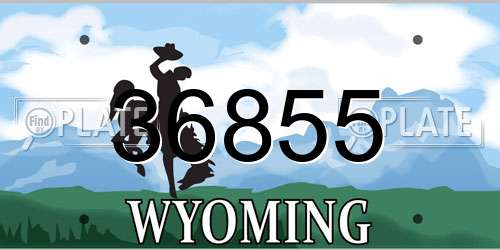 36855 Wyoming License Plate