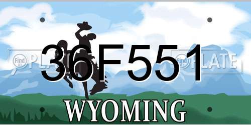 36F551 Wyoming License Plate