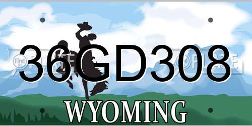 36GD308 Wyoming License Plate