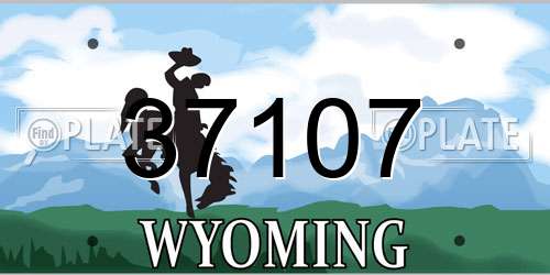37107 Wyoming License Plate