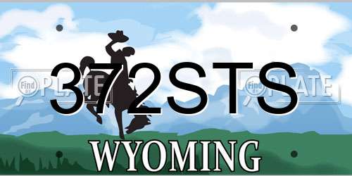 372STS Wyoming License Plate